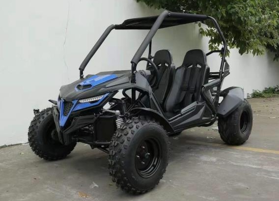 Two Seater Dune Buggy