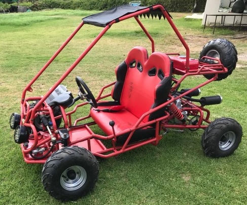 Mini 2 Seater Go Kart