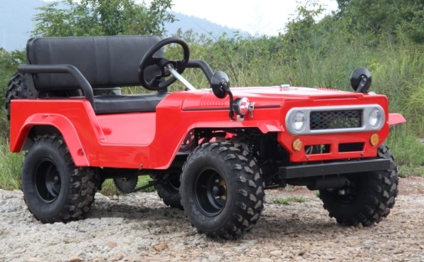 Mini Land Cruiser