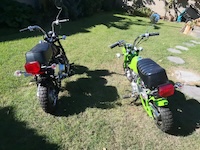 Monkey Bikes (49cc)