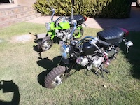 Monkey Bikes (49cc)
